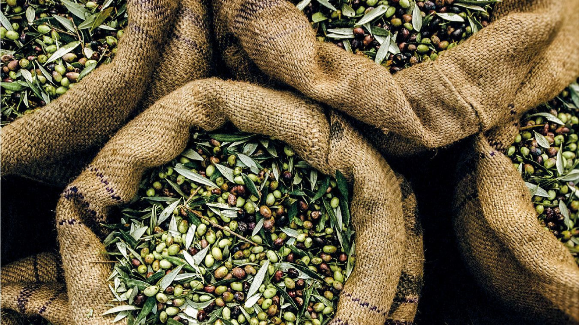 OÙ TROUVER DES POLYPHÉNOLS ? BIENFAITS ET SOURCES NATURELLES