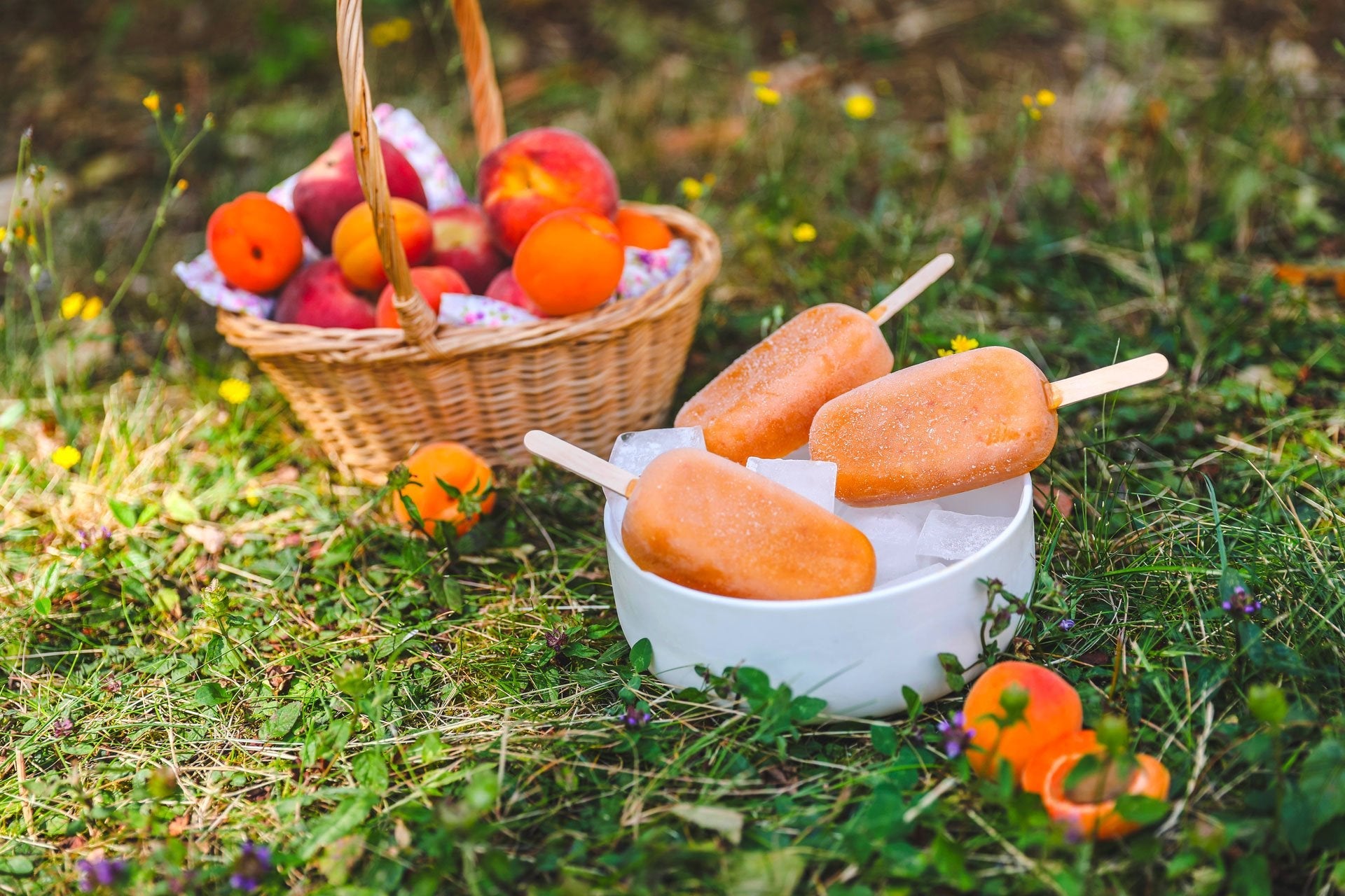 Esquimaux pêche et abricot