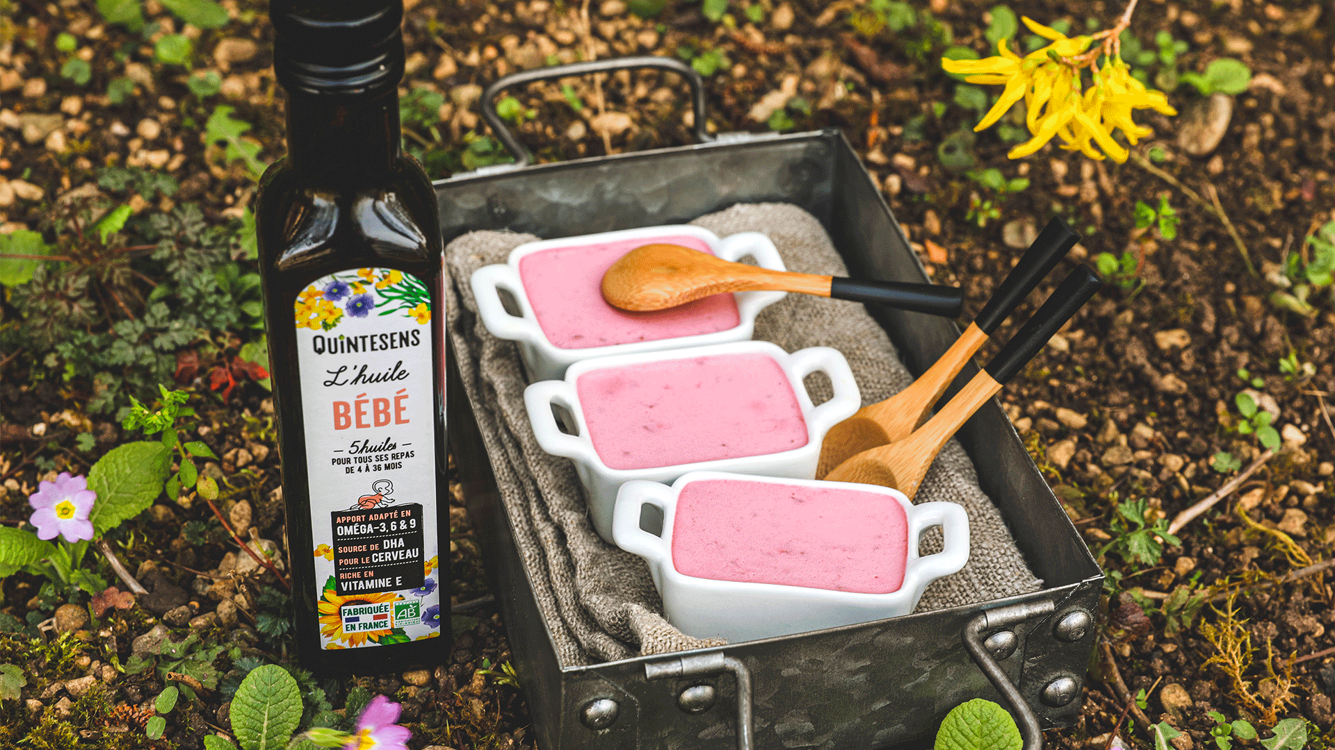 Terrine à la fraise  bébé