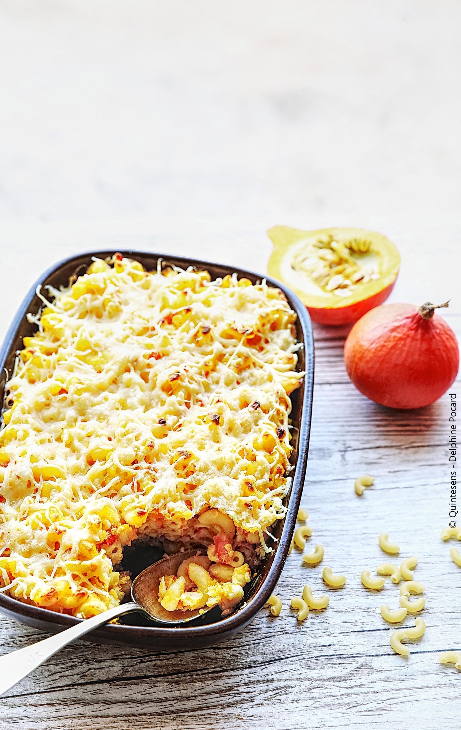 Gratin de pâtes, sauce béchamel à la courge