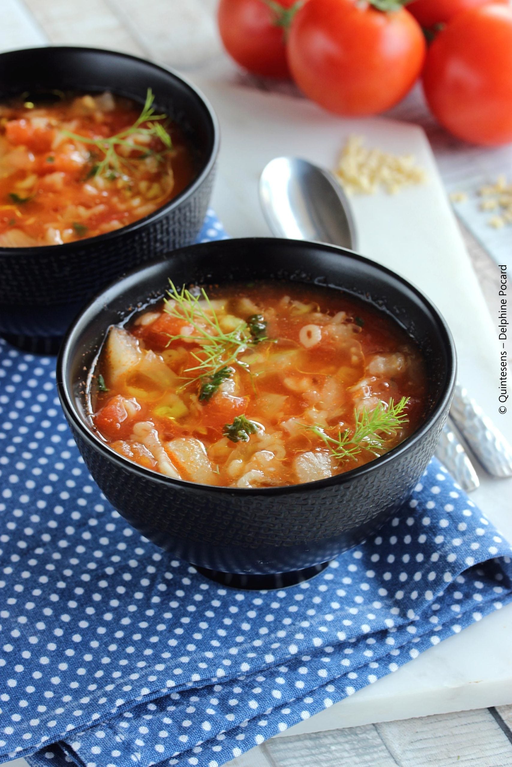 POTAGE ALPHABET, TOMATE ET FENOUIL