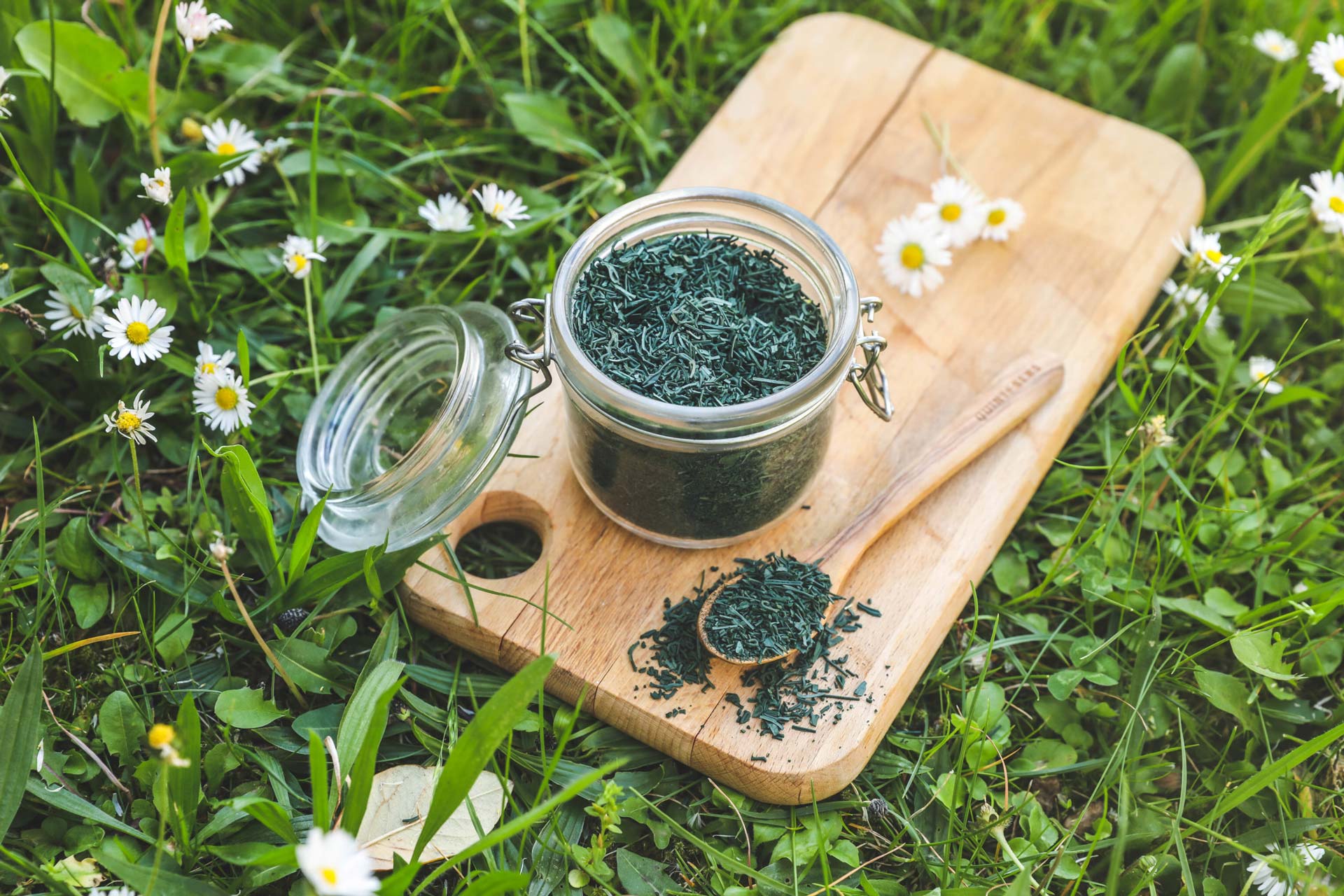 TOUT SAVOIR SUR LA SPIRULINE