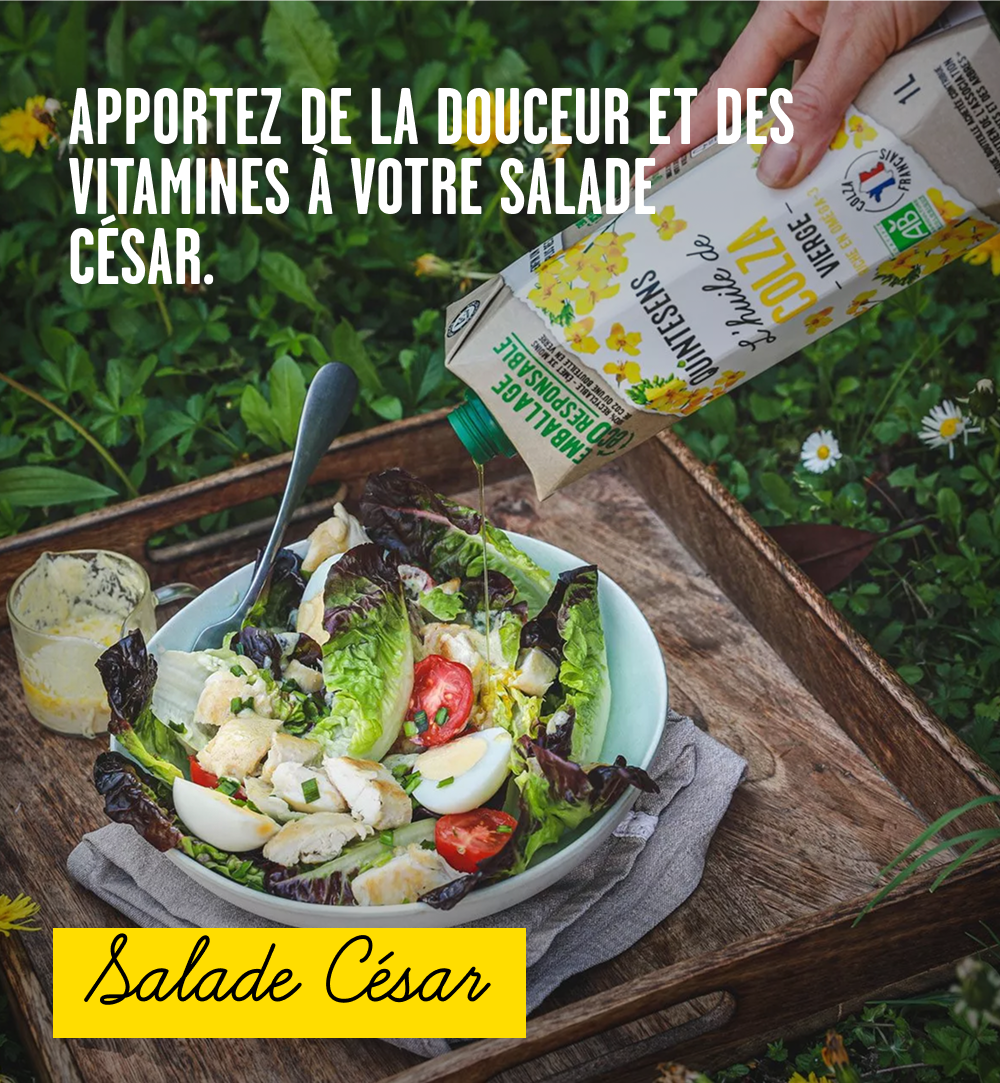 L’huile de colza bio vierge Quintesens