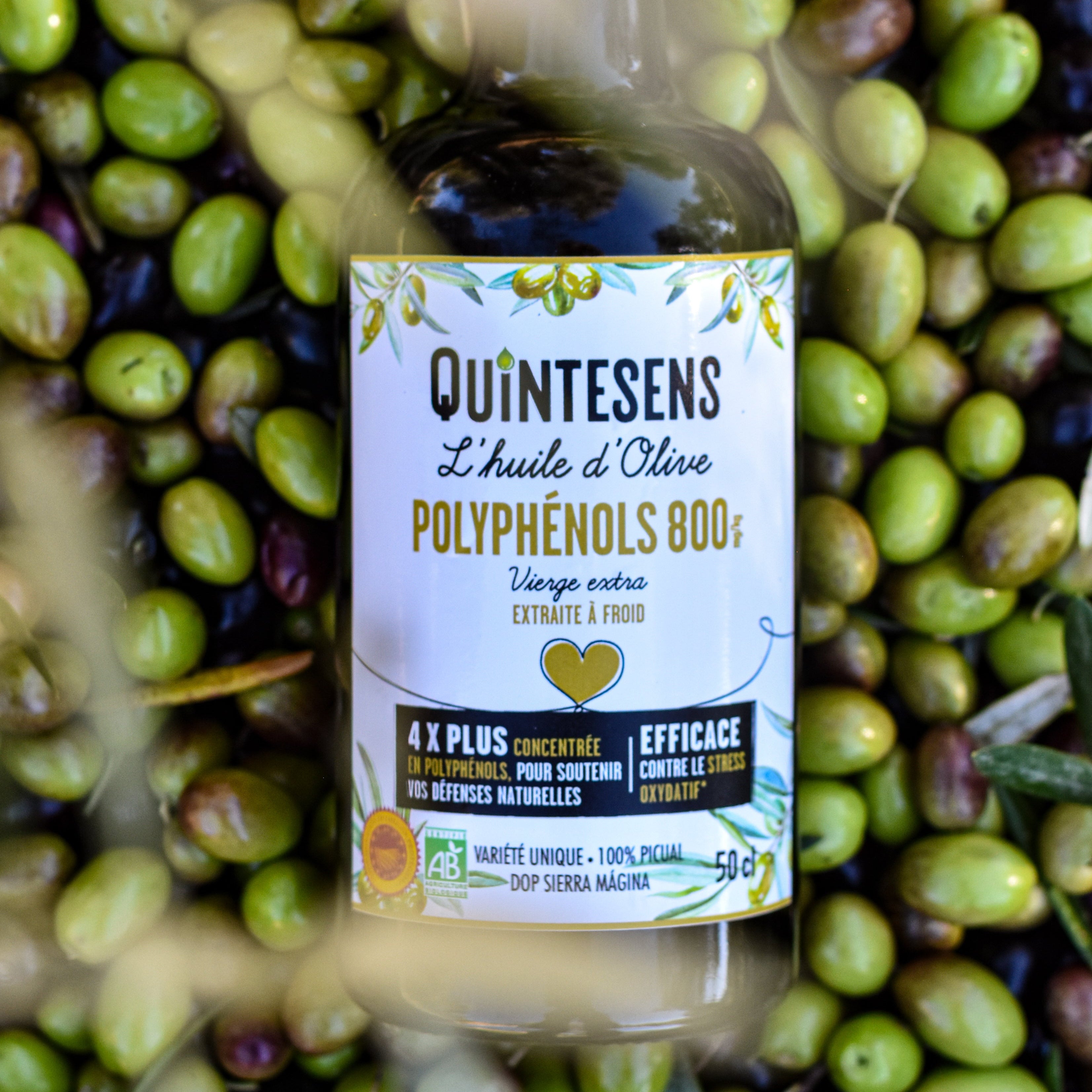 L'huile d'olive polyphénols 800
