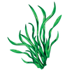 Illustration algue ao-nori