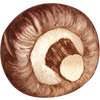 Illustration champignon shiitaké