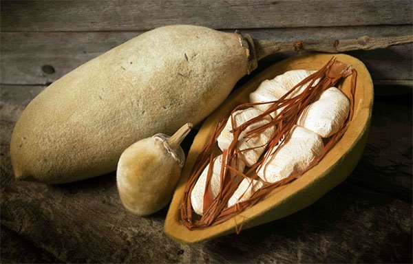 baobab fruit bouye pain de singe biologique