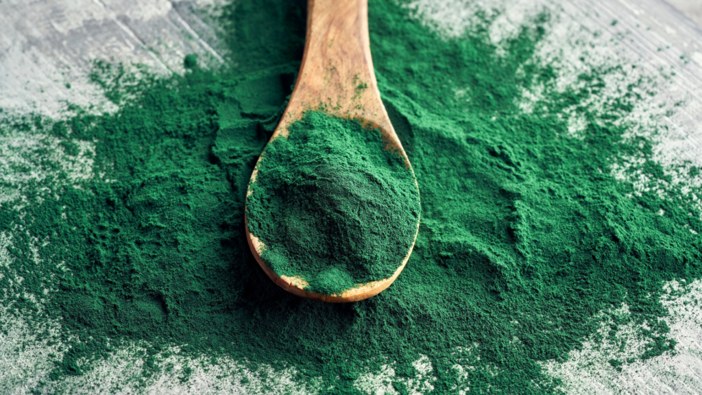 Les bienfaits des algues nori kombu spiruline nori laitue de mer quintesens