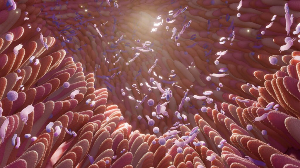 Intestin microbiote Quintesens