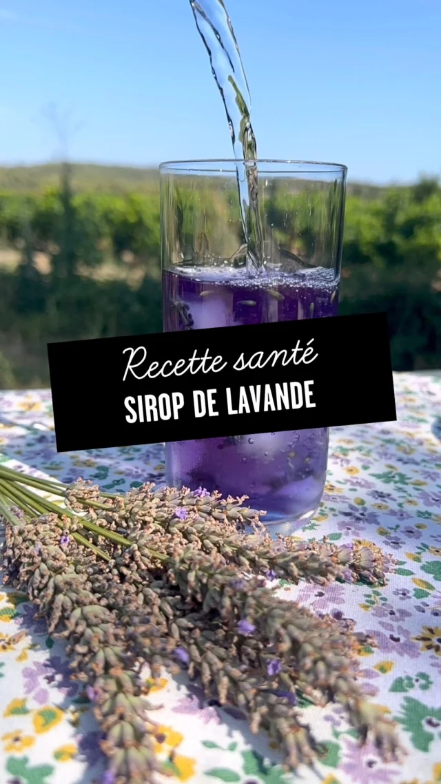Sirop de lavande maison & sans sucre 🪻

Impossible de vivre au milieu des lavandes sans en faire une boisson aussi belle que bonne (et bonne pour vous) ! 🌿

Pour un sirop naturellement relaxant :

- 1 tasse d’eau

- ¼ tasse de fleurs de lavande

- 1 c. à soupe de butterfly pea tea 

- 1 c. à café de jus de citron

- Une pincée de sel

👉 Faites frémir, laissez infuser 20 minutes, filtrez et conservez au frais jusqu’à 2 semaines.

Une potion magique pour vous relaxer :

Lavande → calmante naturelle, elle aide à apaiser le système nerveux
Citron → soutien digestif et éclat de la peau
Butterfly pea → antioxydant riche en anthocyanines, pour un coup d’éclat cellulaire

Et vous, quels sont vos boissons santé de l'été ? 💚

#quintesens #santedanslassiette #faitmaison #lavande